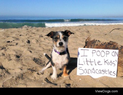 Sand Crap’stles

I poop on little kids’ sandcastles…