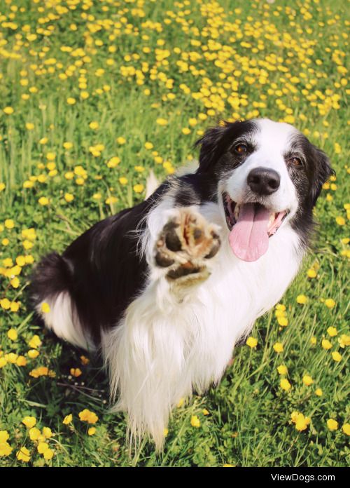 megpricephotography:

Gimme Five!