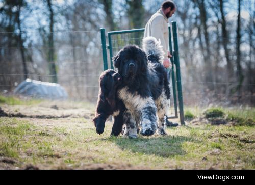 Dad & Son
| 

Yann Texier