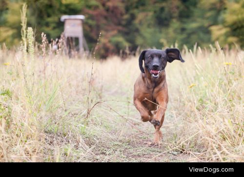 Run baby run
| 

Zuzana Hudak