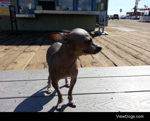 Plutarco at Santa Monica Pier