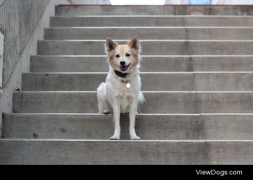 pixpup:

She has such a charming smile…