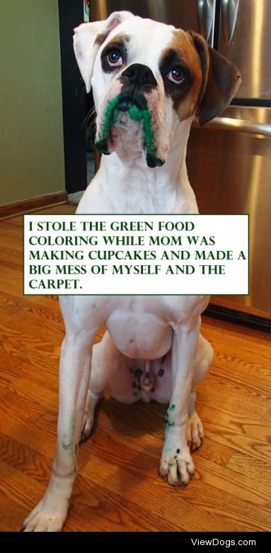 Oscar The Grouch is Green

“I stole the green food…