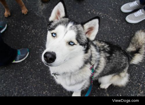 alipynckel:

Briar being the prettiest girl at the event!