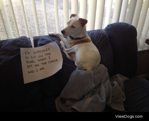 A technicality

“I’m supposed to sit on the towel…