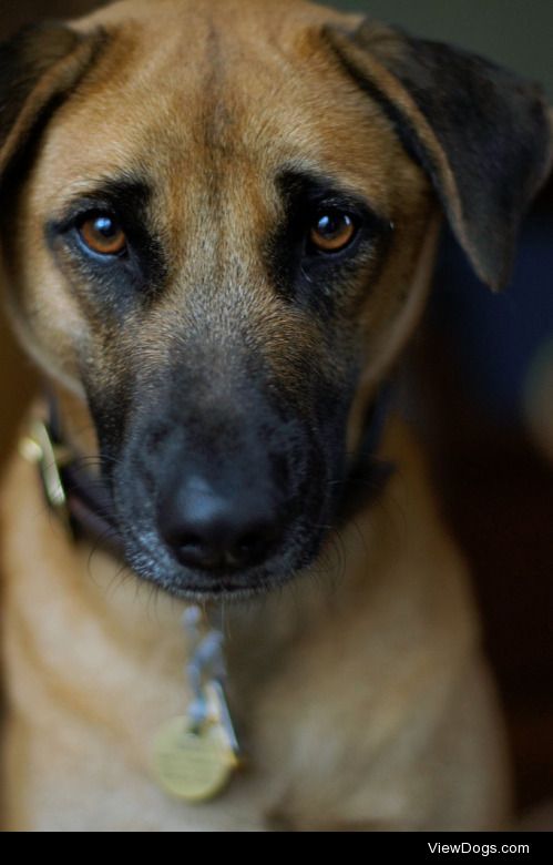 streetdogmillionaires:

Natural eyeshadow.