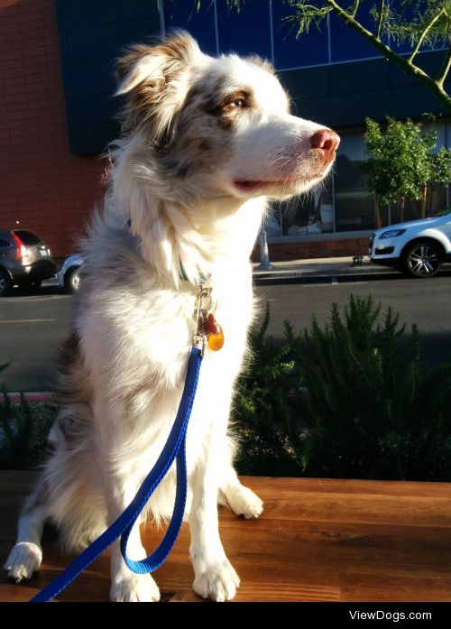 Kaya enjoying an evening shopping with us.