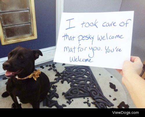 Welcome Home

“I took care of that pesky Welcome Mat for…