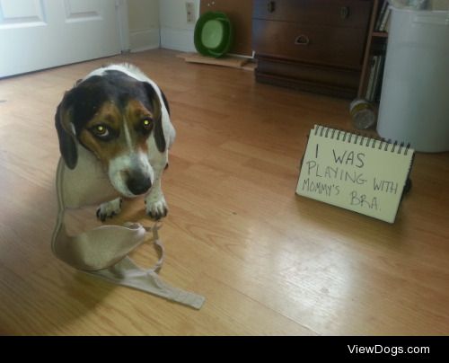 It was a boobie trap

Laverne got stuck in one of mommy’s…