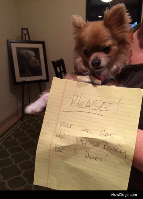Dog feels no shame, owner does.

Found my dog had been…