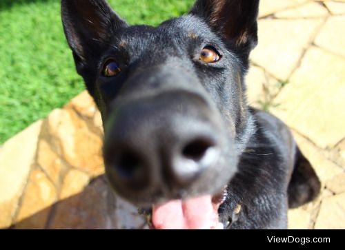 Big nose, big smile!