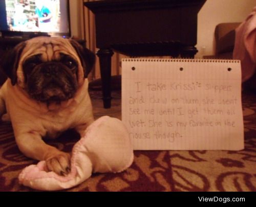 “P-UGG” house slippers

6 year old pug steals slippers all the…
