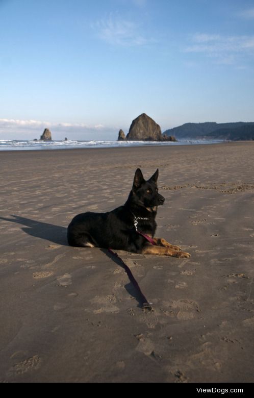 Que on the Beach