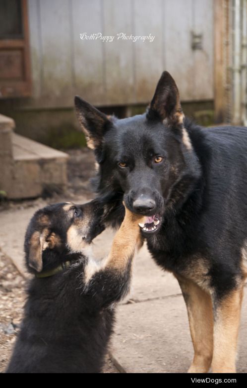 Que and Baby Diesel, His dad just wants him off his face, lol