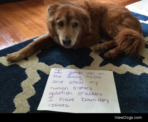 Chowin’ Chow

I jump up on the dining table and steal my human…