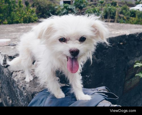 This is Toby. I only see him every two years when I fly back…