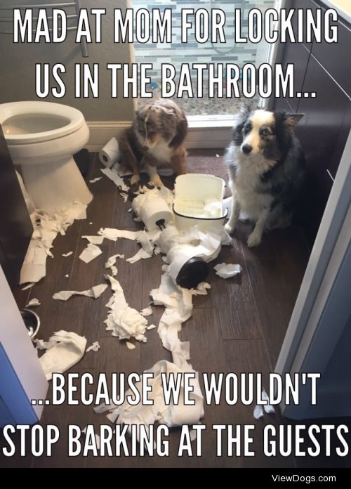 Toilet paper tornado twins

Mad at Mom for locking us in the…