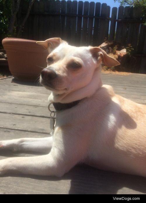 she loves sitting in the sun