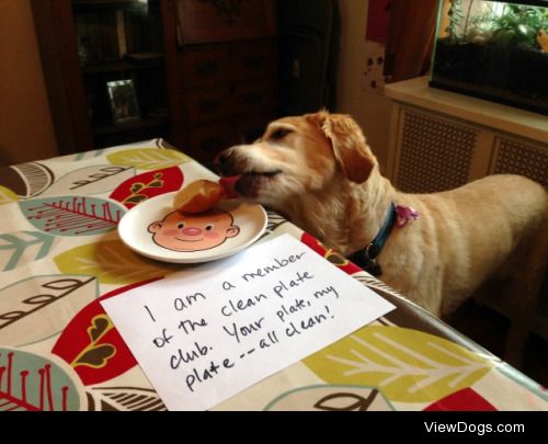 Clean Plate Club

Maisy is a shameless foodie. Even when caught…