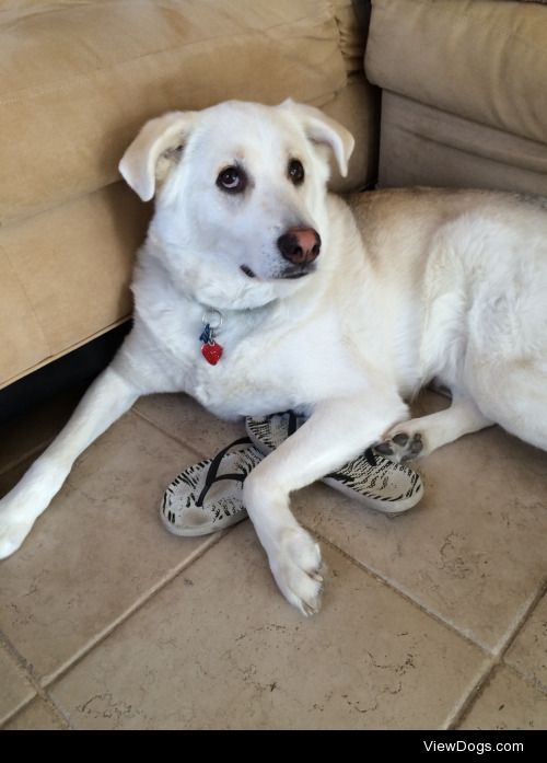 Jack likes to cuddle with flip flops. :)