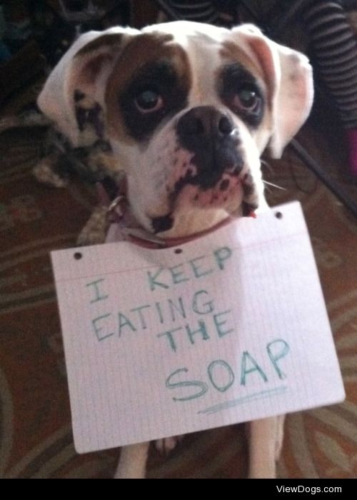 I Keep Eating the Soap

I keep eating the soap and then I have…