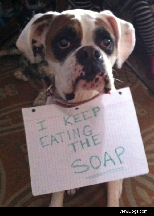 I Keep Eating the Soap

I keep eating the soap and then I have…