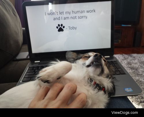 This could totally be the dogshaming office!

Toby feels that…