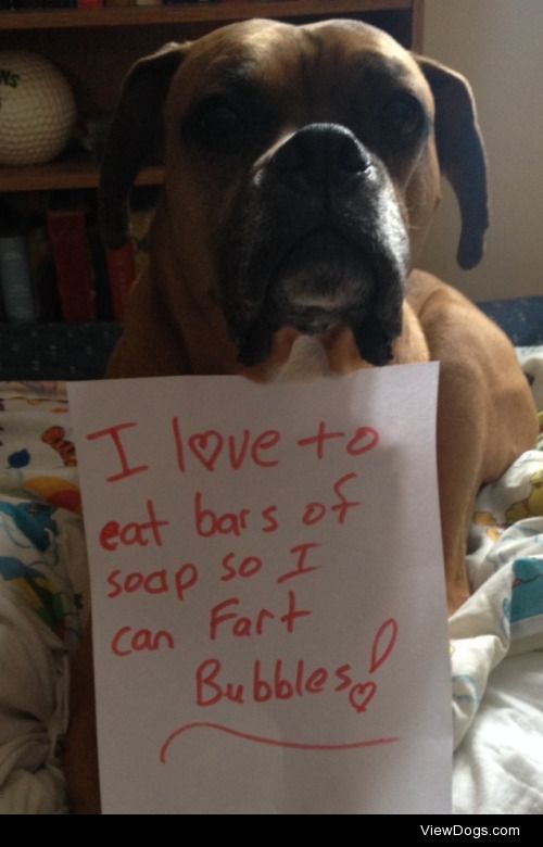 Dog Eats Dove (THE SOAP)

I love to eat bars of soap so I can…
