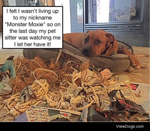 She’s got Moxie!

Moxies nickname is monster moxie, and I…
