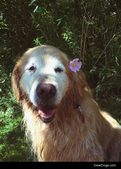 Suka after her swim in the lake
11 years old