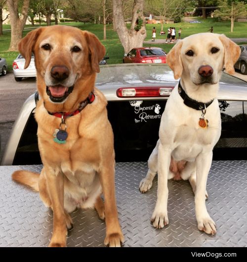 My pretty girls at the ball park. Maddie on the left and Lexi on…