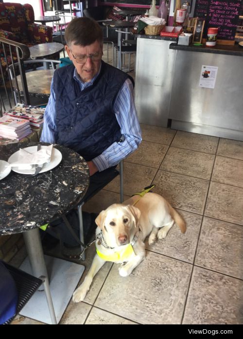 Peter with his beautiful guide dog Oliver, in Newmarket today.