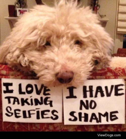 They’re called “self-portraits” now

Roxy has developed a selfie…