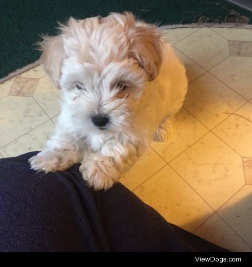 the pictures are a little blurry because she never sits still,…