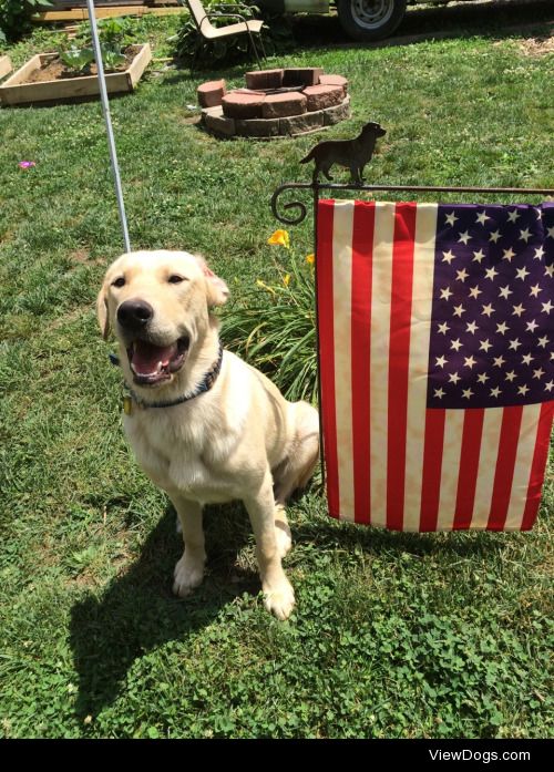 An American Boy and His Daddy