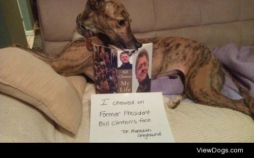 Politically Incorrect

“I chewed on former President Bill…