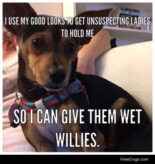 Ladies love wet willies