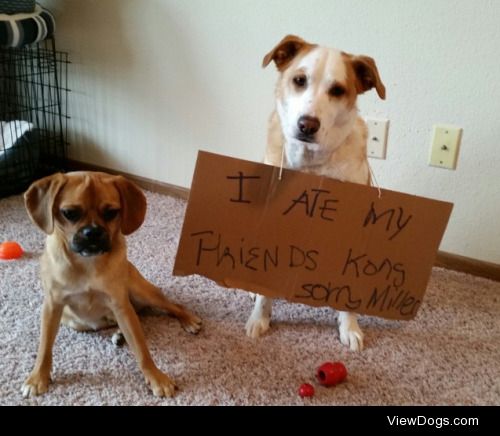 King Kong Killer

Reggie wanted the last bit of peanut butter…