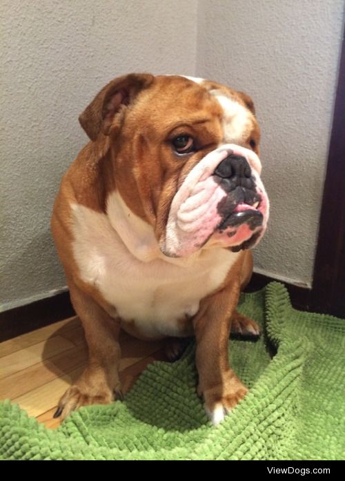 Frankie from Madrid