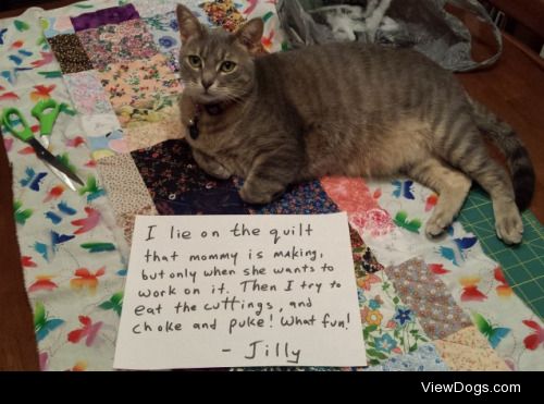 Quilting Assistant