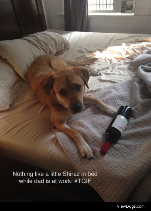 Wine Wednesday

Siena’s been up to know good… She…