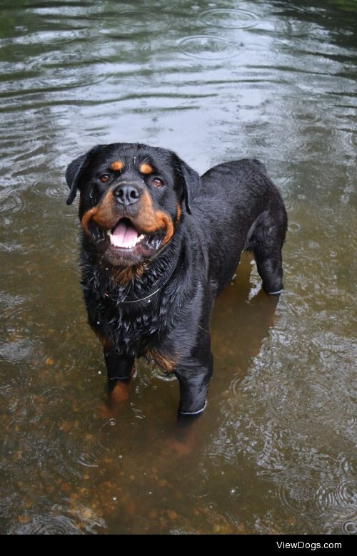 Fun Friday- 
Ollie doing his favourite things, smiling, playing…