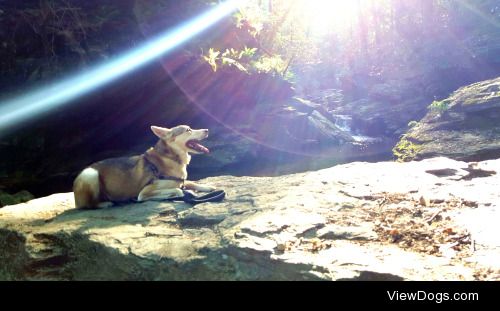 Sunray Sunday with Puppy! 