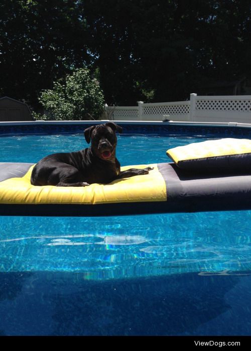 Kloe enjoying her pool.