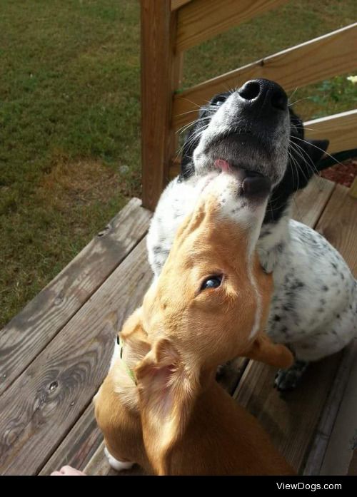 steffinephrine:

Sunday morning sunrays and sibling kisses from…