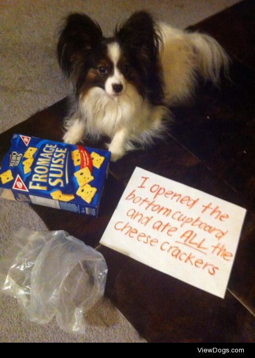 Oh la la, le French crackers!

Max opened the cupboard and ate…