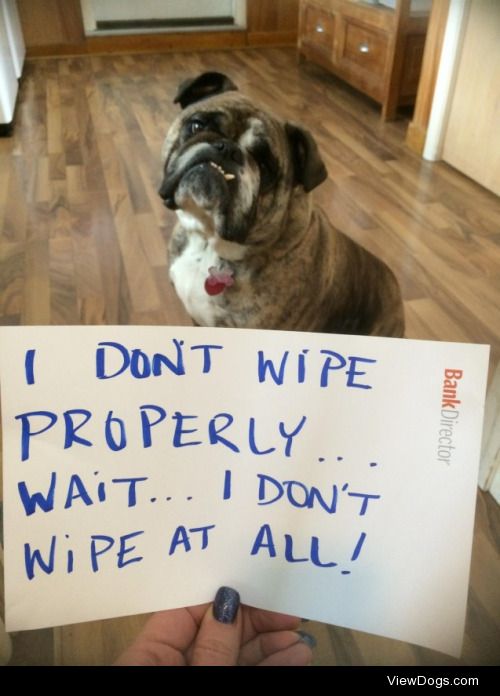 Beware the poops of March

Brutus doesn’t wipe…