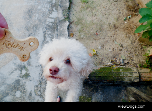 Meal-Time Monday >> Jack + one of his favorite snacks…