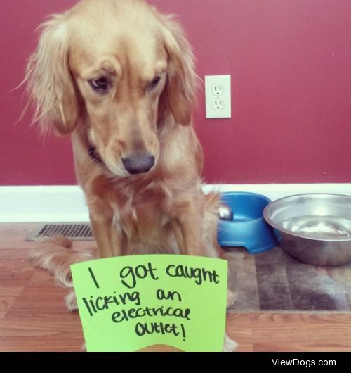 Shocking!

I got caught licking an electrical outlet!