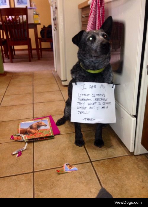 Sometimes the dog actually does eat the homework

Tank’s 7…